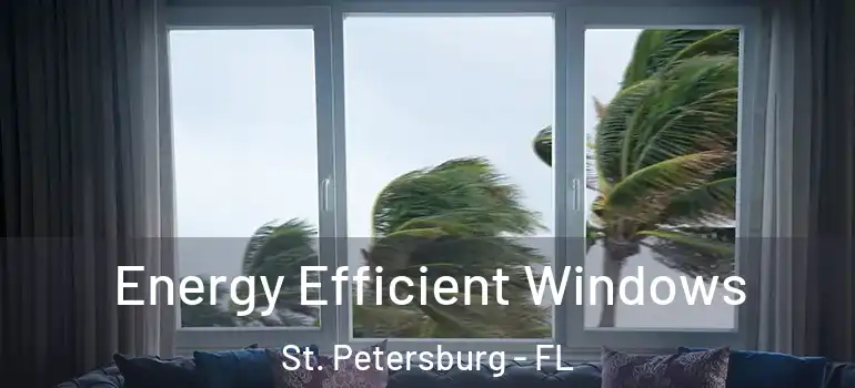  Energy Efficient Windows St. Petersburg - FL
