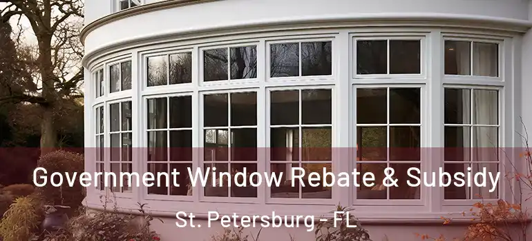  Government Window Rebate & Subsidy St. Petersburg - FL