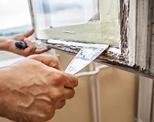 Professional Door and Windows Installation in St. Petersburg, FL