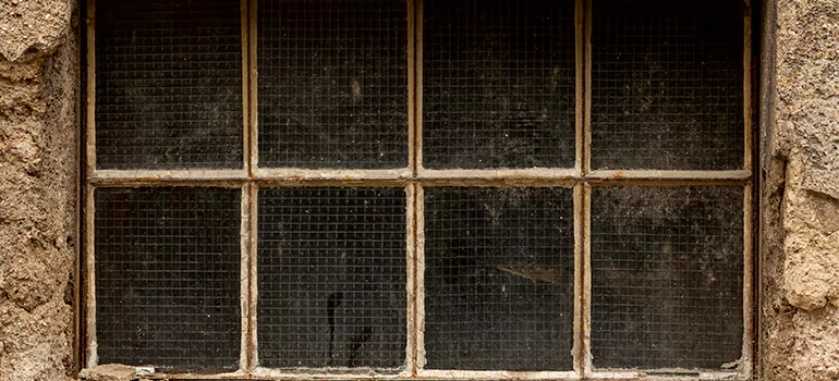 Traditional Double Front Doors in St. Petersburg, FL