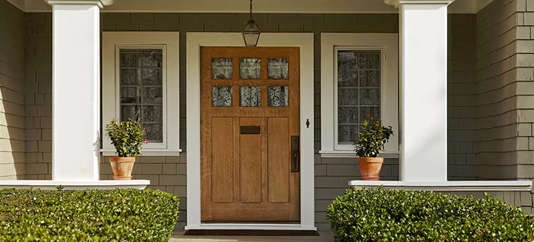 Craftsman Style Door in St. Petersburg, FL