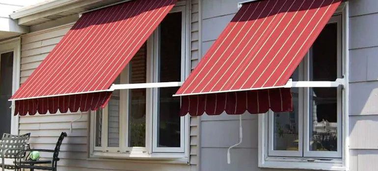 Government Rebate Window Replacement in St. Petersburg, FL