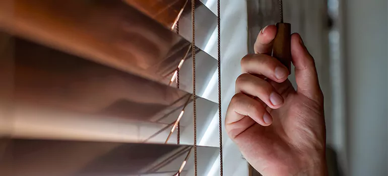 Double Roller Blinds in St. Petersburg, FL