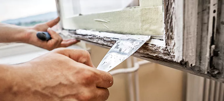 Exterior Window Frame Repair in St. Petersburg, FL