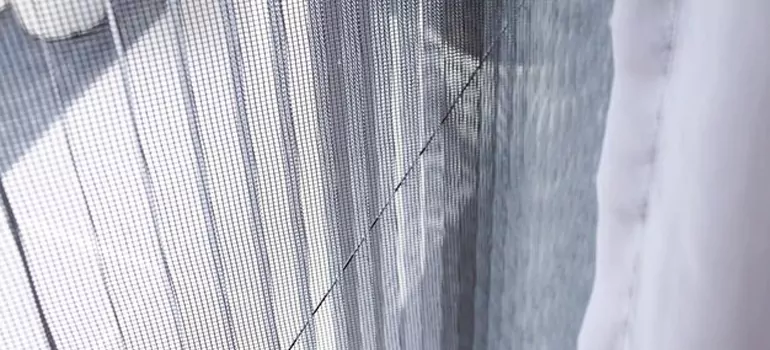 Fixing Screen Window Mesh in St. Petersburg, FL