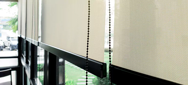 Blackout Window Shades in St. Petersburg, FL