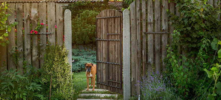Winter Garden Garage Door Repair in St. Petersburg,[location field=state]