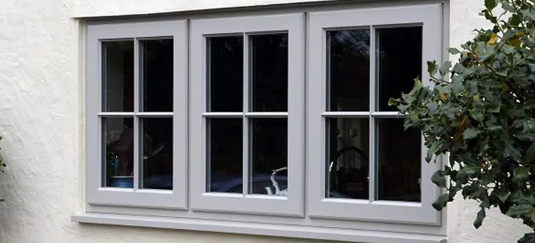 Stormproof Windows With Tinted Glass Services in St. Petersburg, FL