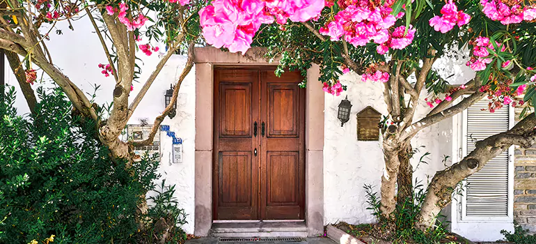 Traditional 4 Panel Internal Doors in St. Petersburg, FL