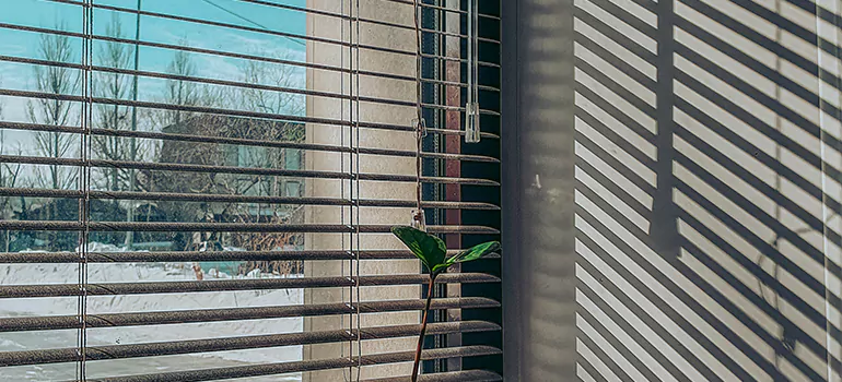 Commercial Window Blinds in St. Petersburg, FL