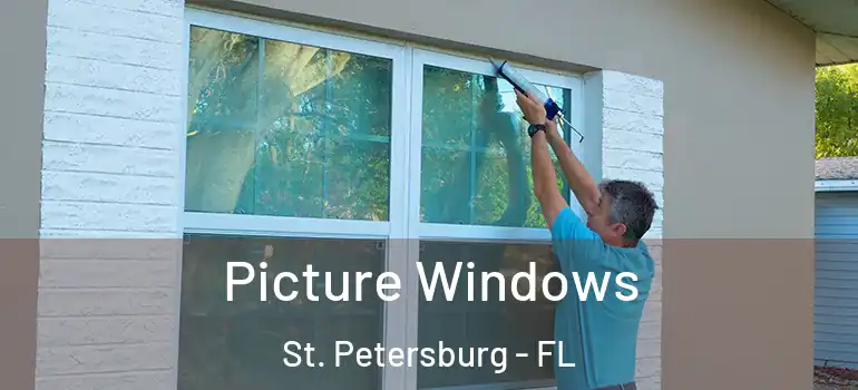  Picture Windows St. Petersburg - FL