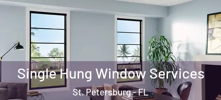  Single Hung Window Services St. Petersburg - FL
