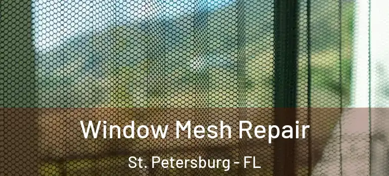 Window Mesh Repair St. Petersburg - FL