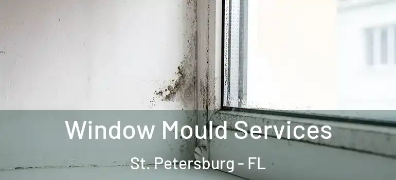  Window Mould Services St. Petersburg - FL
