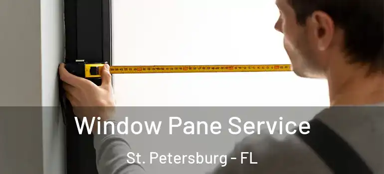  Window Pane Service St. Petersburg - FL